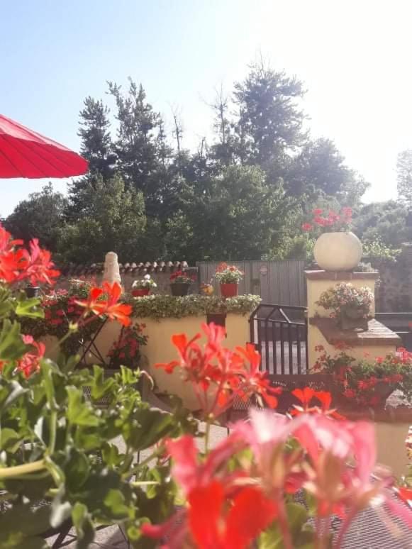 Sunset House Chambres De Hotes Magnac-Laval Εξωτερικό φωτογραφία