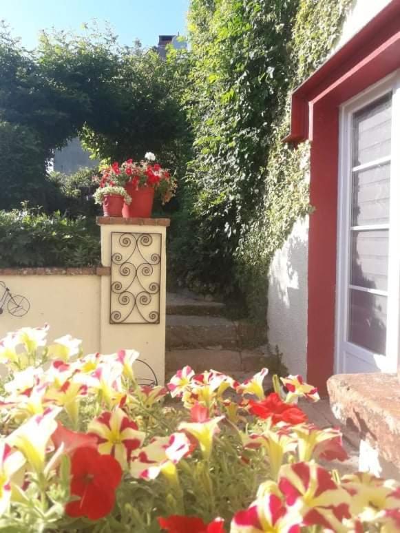 Sunset House Chambres De Hotes Magnac-Laval Εξωτερικό φωτογραφία