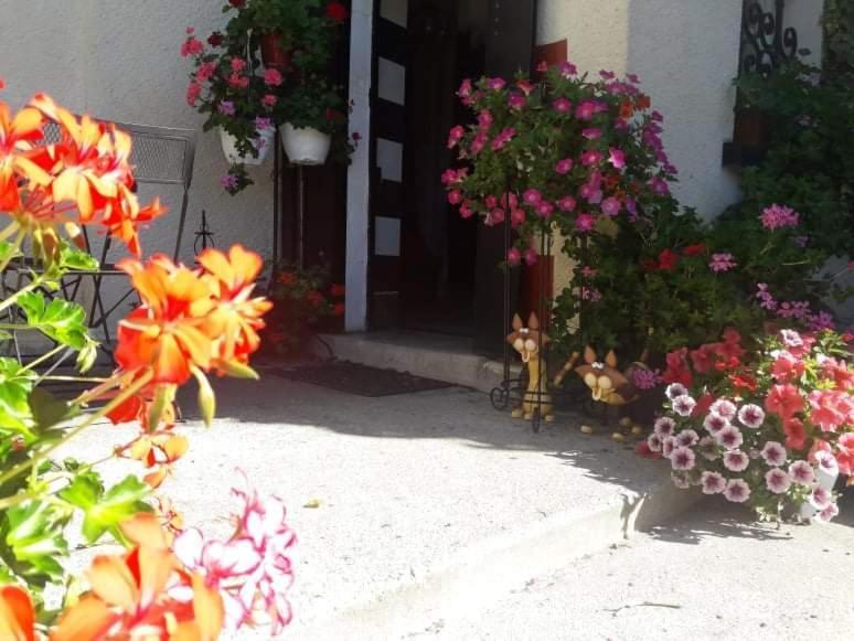 Sunset House Chambres De Hotes Magnac-Laval Εξωτερικό φωτογραφία