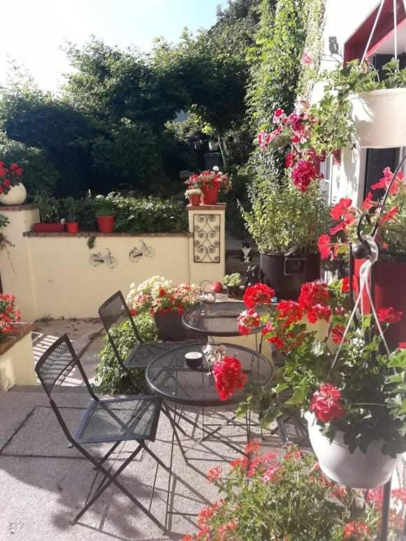 Sunset House Chambres De Hotes Magnac-Laval Εξωτερικό φωτογραφία